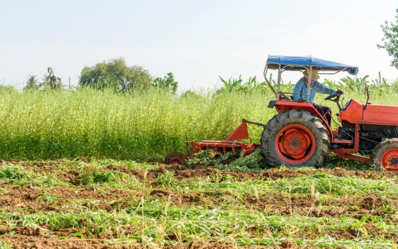 Perché gli agricoltori protestano |Perché gli agricoltori protestano Italia |