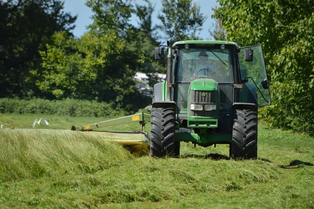 Perché gli agricoltori protestano Italia 