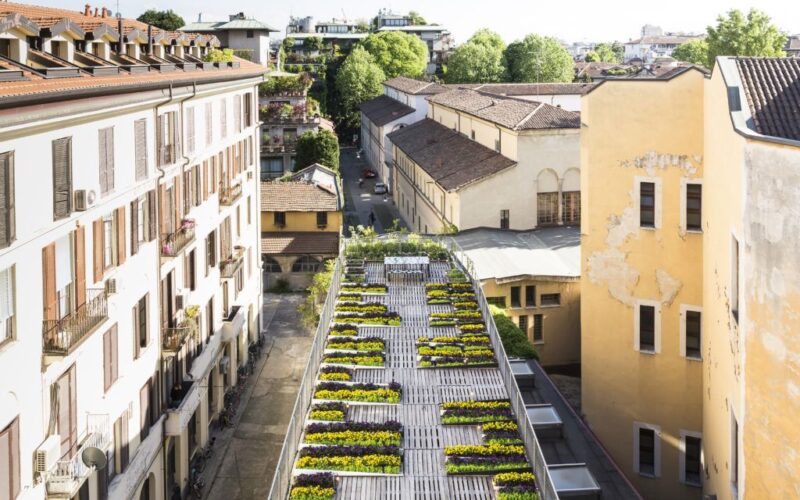 ||verde|||||||||sao-paolo-cornelius-gavril|cornelius-photo|Piuarch-Orto-Volante||||