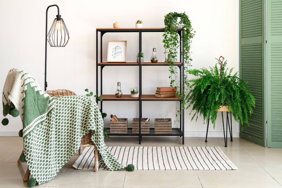 Plaid Arredamento COTONE