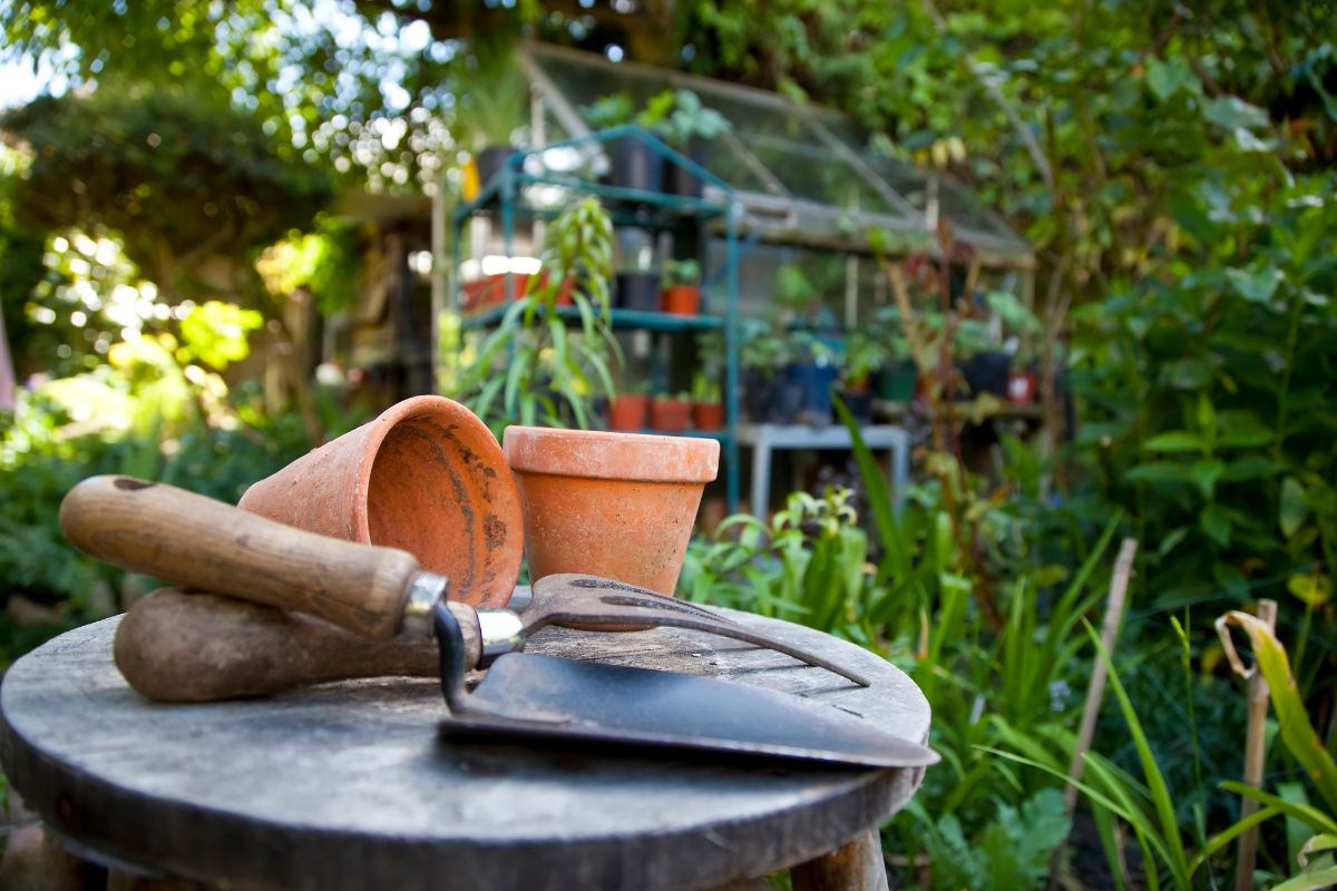 Preparare il Giardino per l'Estate