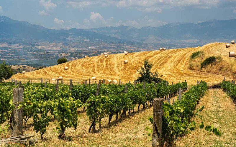 Prodotti biologici in Calabria|Prodotti biologici in Calabria