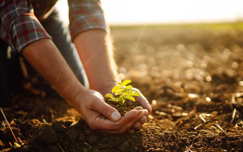 Prodotti biologici in Molise|Prodotti biologici in Molise