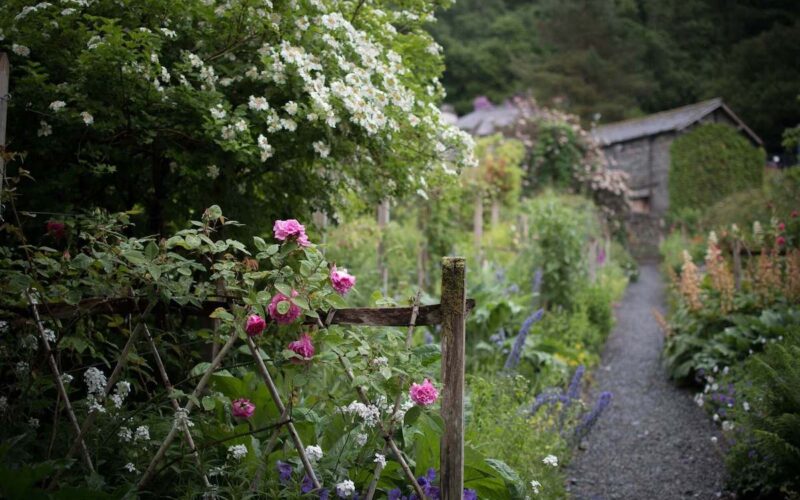 Intervista a Lucia Campofreda: arredamento green e progettazione di giardini