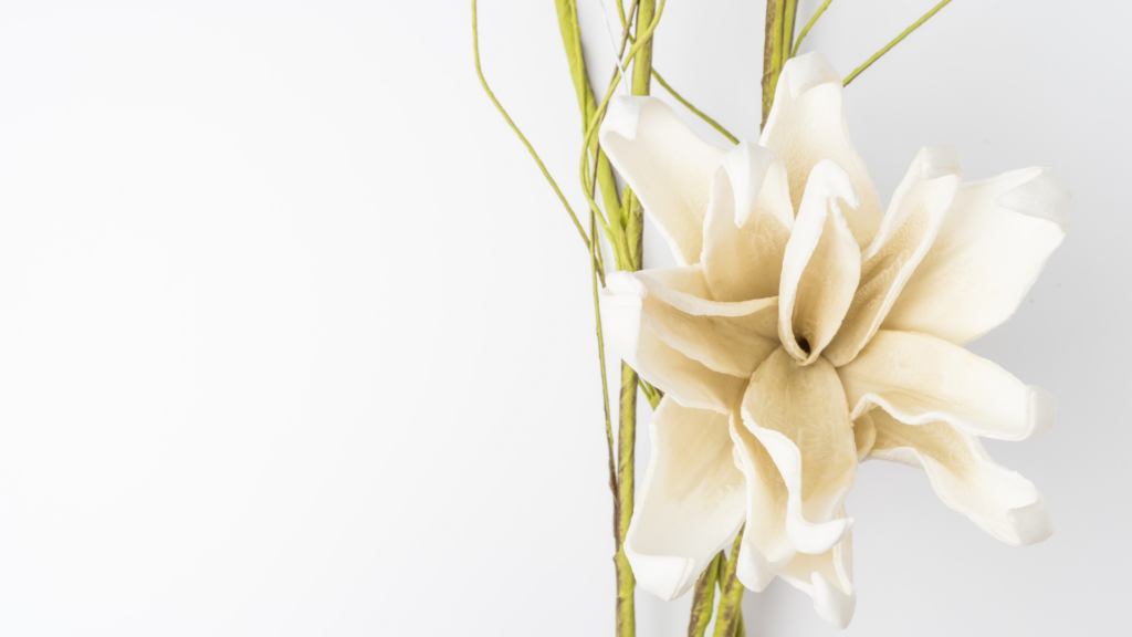 Gardenia, l'elegante e profumato fiore d'aprile