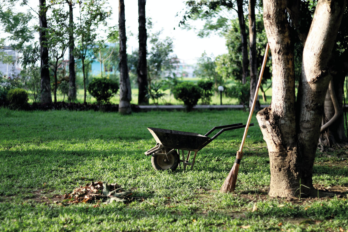 Pulire il vialetto del giardino