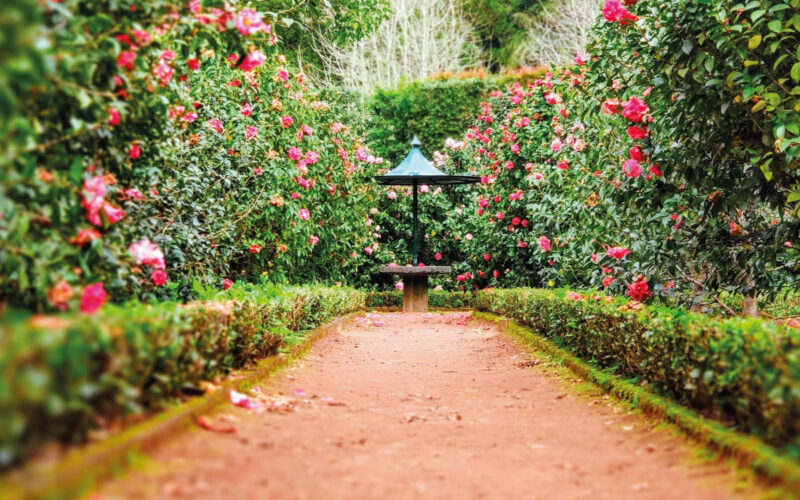 Pulire il vialetto del giardino|bonus verde