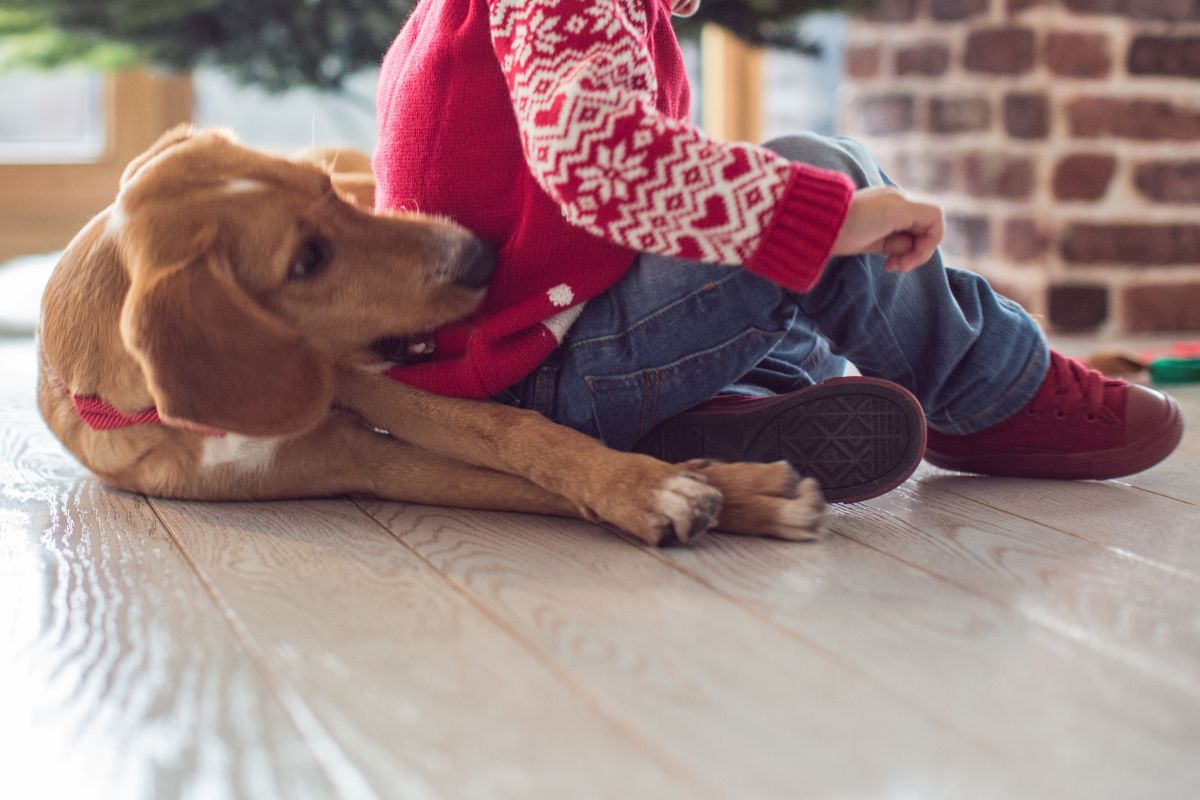 Quanti giorni mancano a Natale