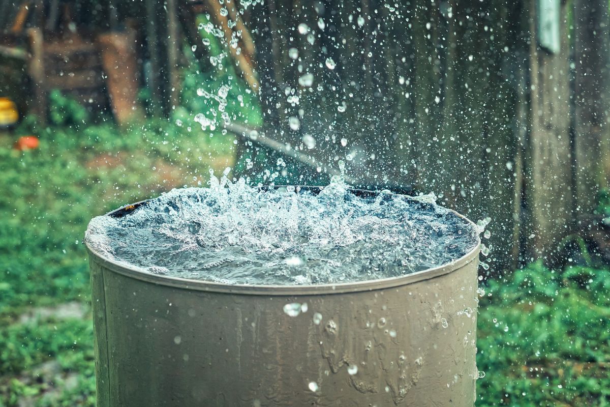 Raccolta acqua piovana