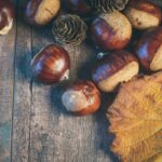 Raccolta castagne nelle Marche|Castagne con i più piccoli|Castagne in autunno|Castagne autunnali