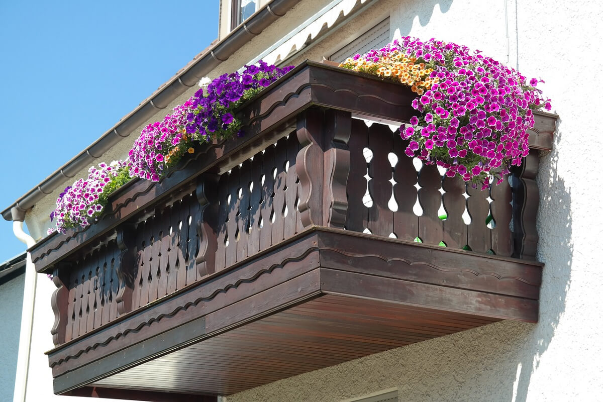 siepe da balcone 