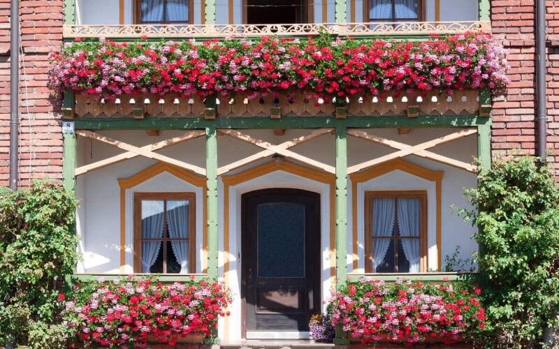 Siepe da balcone: creare un oasi verde in spazi limitati