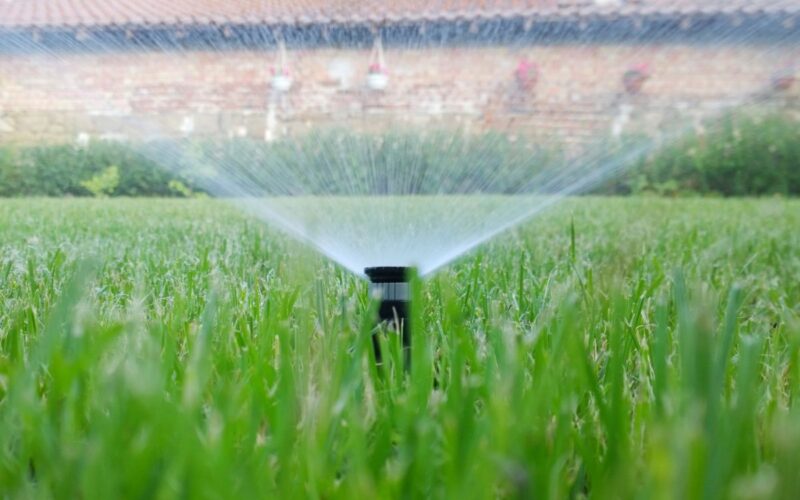 Sistemi di irrigazione smart: giardini efficienti ed eco-friendly