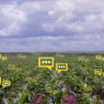 Smart Agriculture coltivazione intelligente e sostenibile con lo IoT|Smart Agriculture coltivazione intelligente e sostenibile con lo IoT