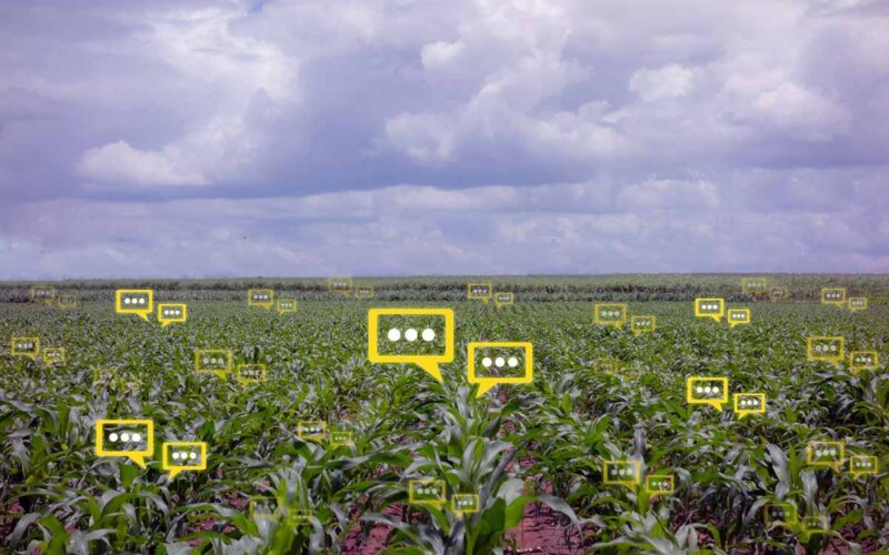 Smart Agriculture: coltivazione intelligente e sostenibile con lo IoT