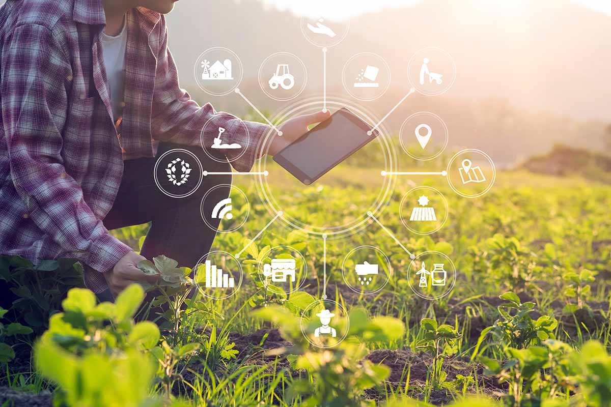 Smart Agriculture coltivazione intelligente e sostenibile con lo IoT 