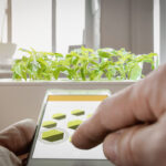 Come avere un smart garden in casa|Smart Garden: come avere un giardino intelligente in casa