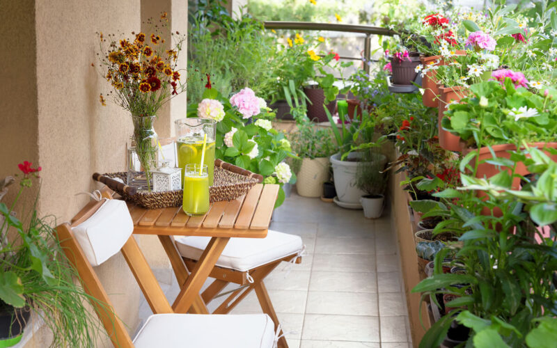 Quali sono le piante resistenti al sole diretto in balcone?