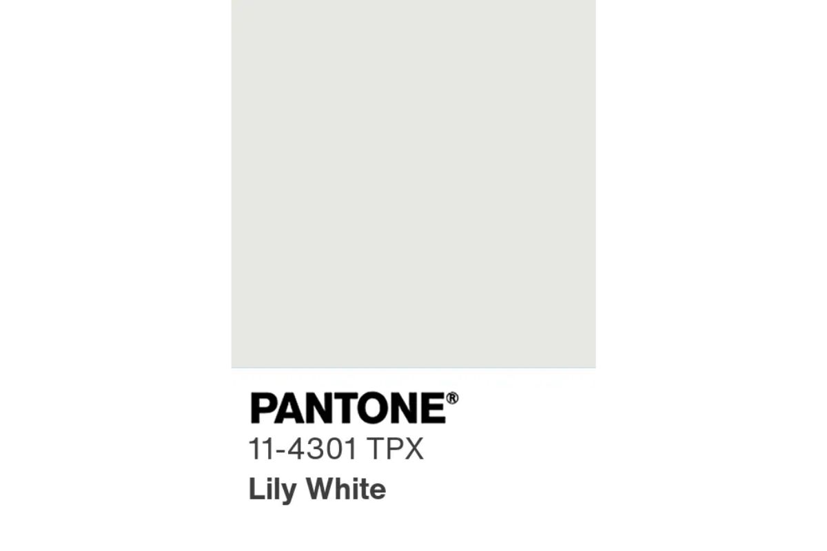 Tonalità Pantone 11-4301 TPX - Bianco nube