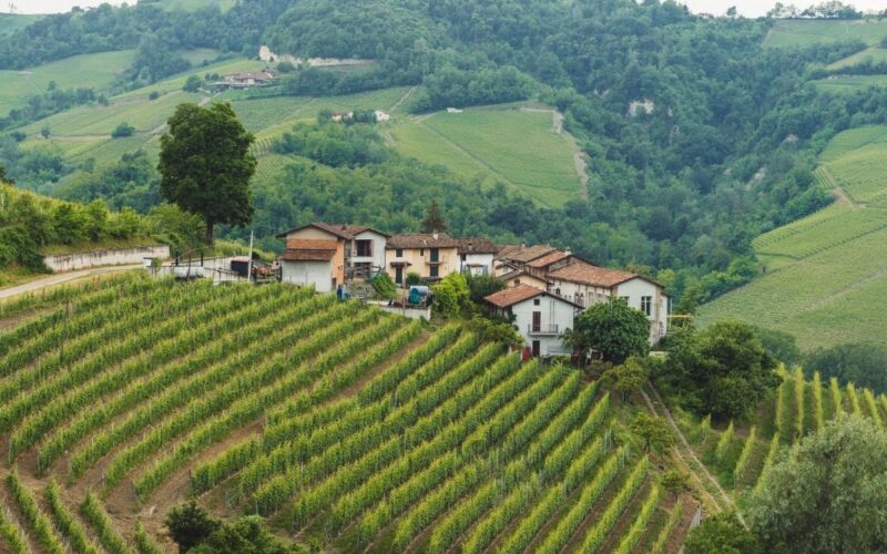 Trucchi per avere un terreno agricolo gratis ecco come fare