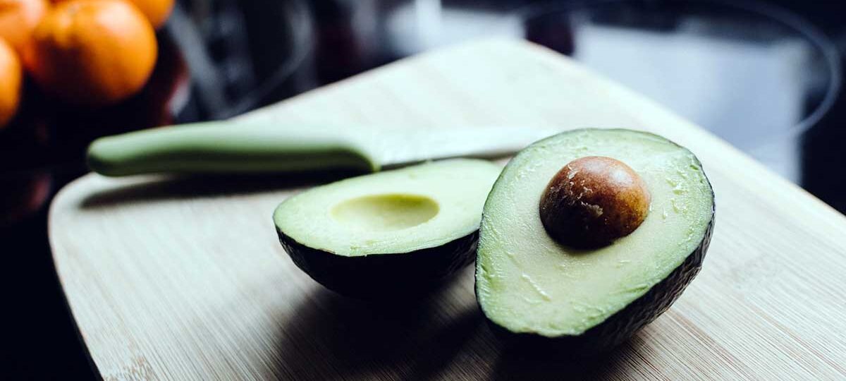 coltivare avocado|coltivare l'avocado