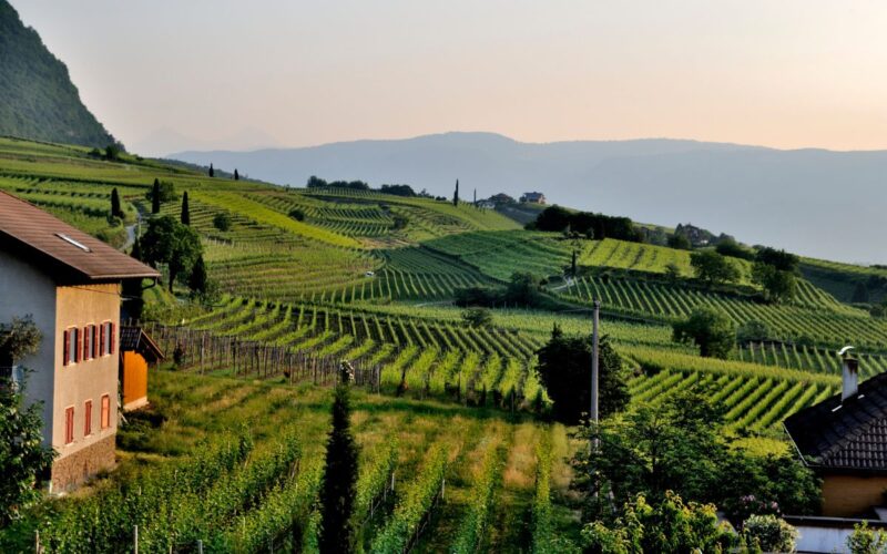 agriturismo fattoria didattica