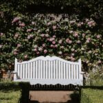 accogliere la primavera - giardino|Come curare le piante a settembre