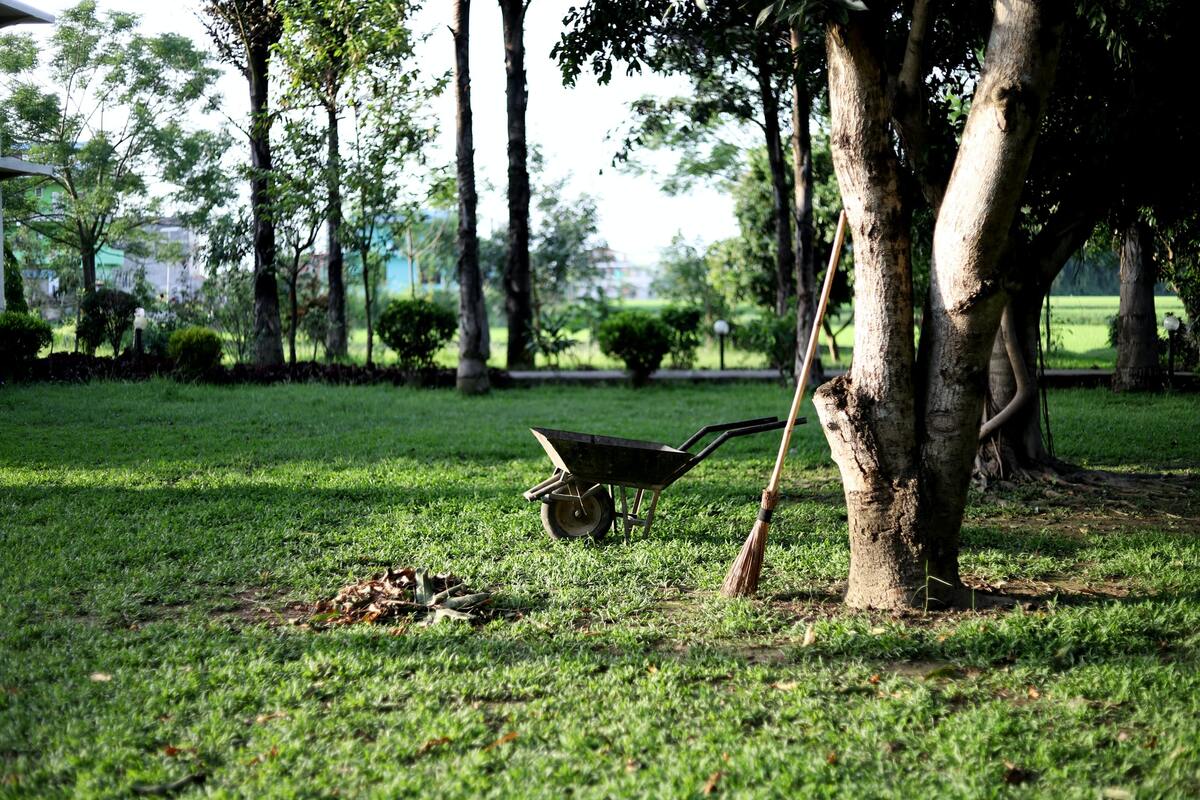 Accogliere la primavera - giardino