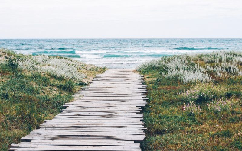 |spiagge per disabili||||