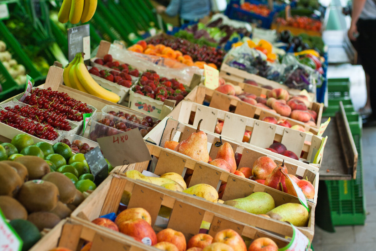 aziende stoccaggio alimentare sostenibile