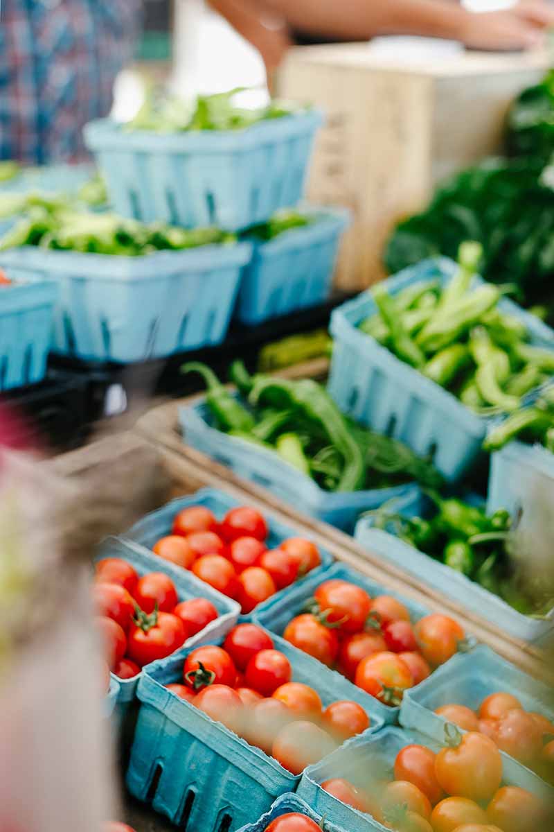 Aprire un negozio di frutta e verdura: ecco come fare