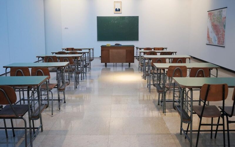 I piccoli di casa e la genitorialità: ambientarsi a scuola. I consigli per un inserimento sereno