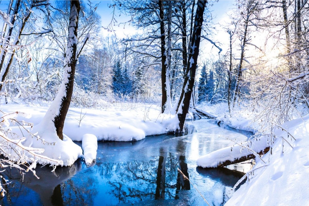 paesaggio innevato