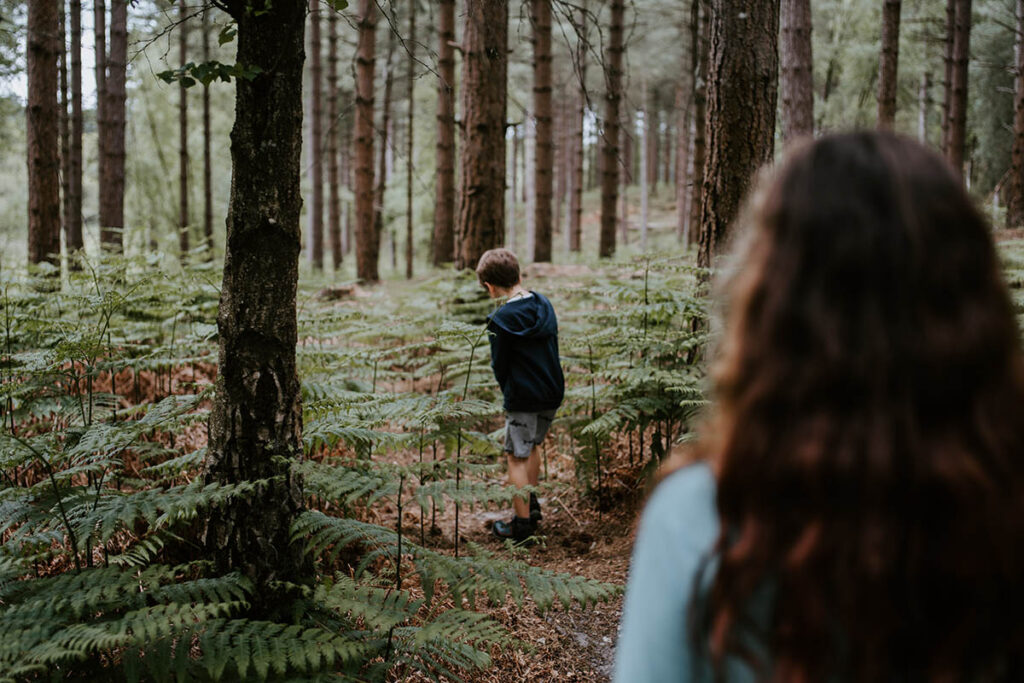 I benefici del Forest Bathing: dove praticarlo in Italia