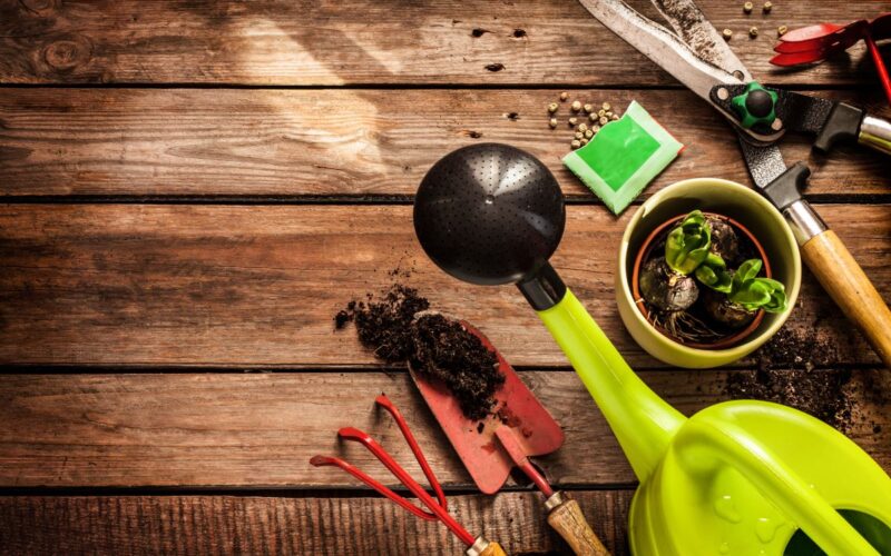 Cura del giardino: 5 attrezzi indispensabili per la manutenzione