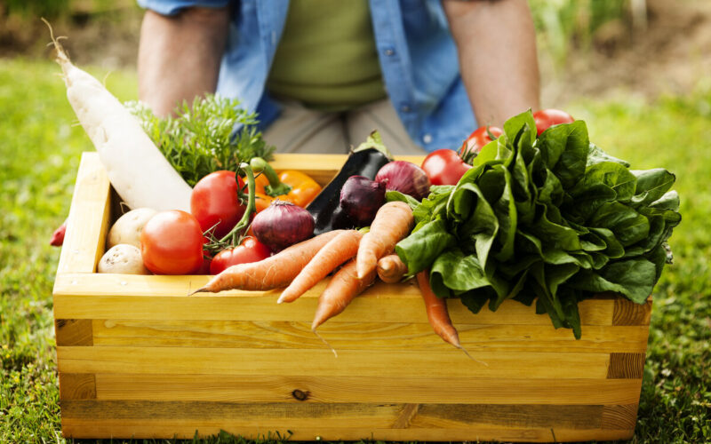 autosufficienza alimentare - ortaggi|Autosufficienza alimentare - galline