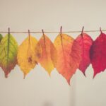 autunno con i bambini - attività|autunno con i bambini - attività