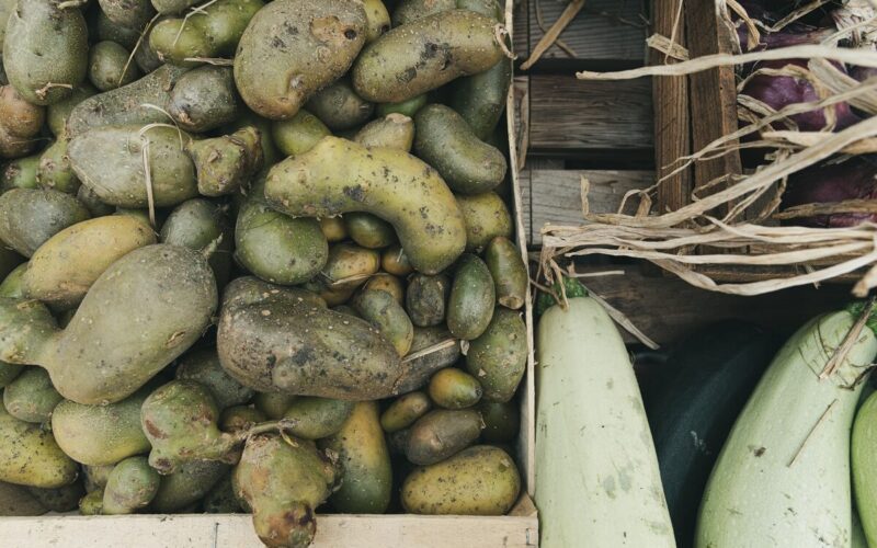 Patate germogliate: come conservarle per evitare gli sprechi