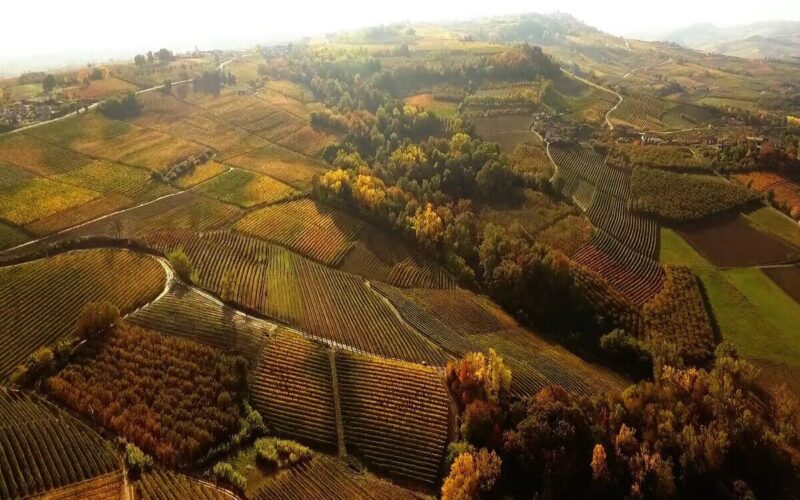 Habitante continua il suo viaggio nelle Langhe: La cantina Giovanni Sordo