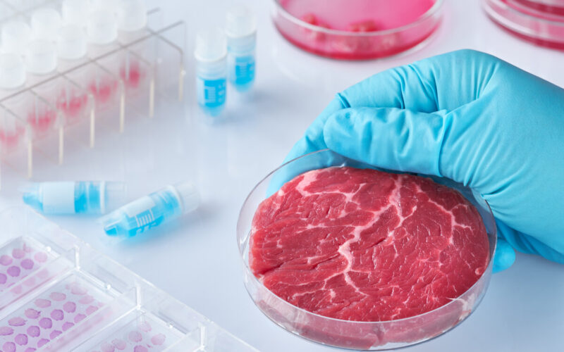 Habitante a tavola: carne “coltivata” in laboratorio, nuova frontiera della sostenibilità?