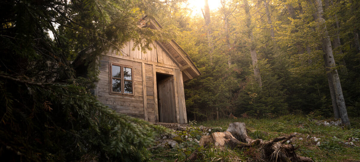 Le regole per vivere nel bosco|Le regole per vivere nel bosco|Le regole per vivere nel bosco