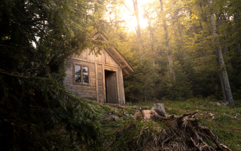 Le regole per vivere nel bosco|Le regole per vivere nel bosco|Le regole per vivere nel bosco