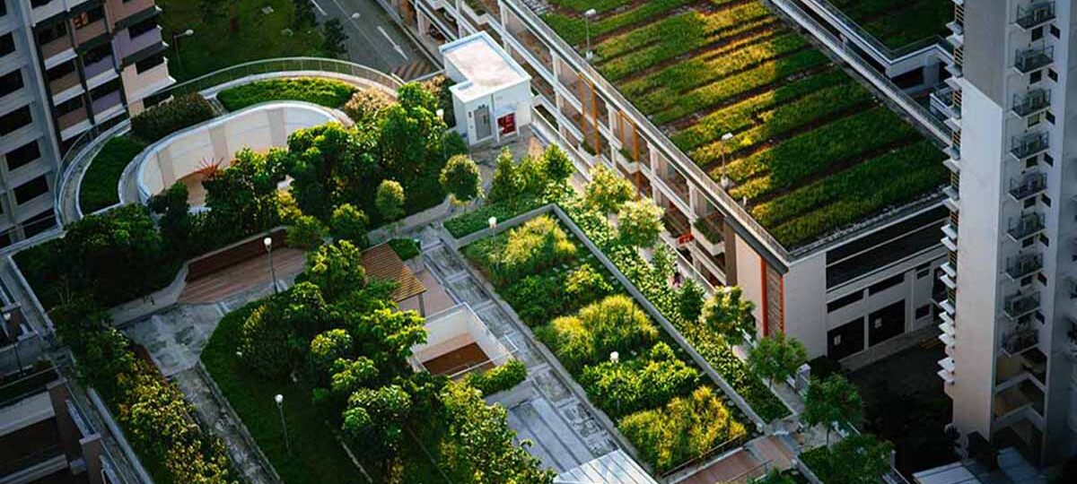 città green||le città più green del mondo||||||||||||||||||||