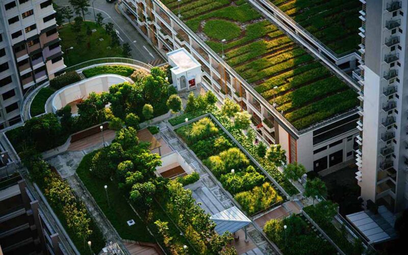 città green||le città più green del mondo||||||||||||||||||||