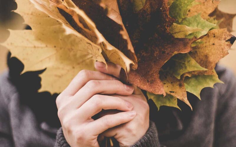 Interior Design: portiamo in casa i colori dell’autunno