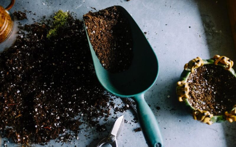 Il compost domestico: riciclare in casa nella maniera corretta