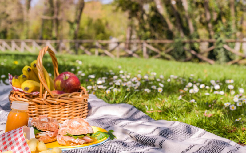 Come organizzare un pic-nic in giardino