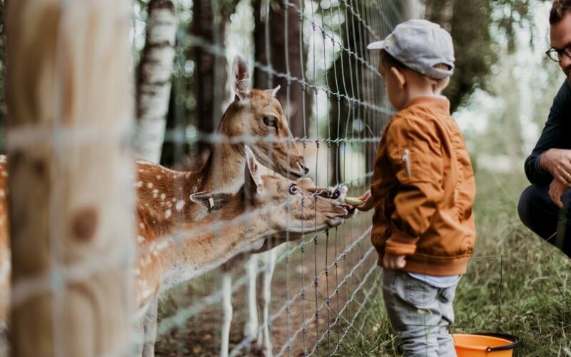 Gli zoo più belli d’Italia da Nord a Sud