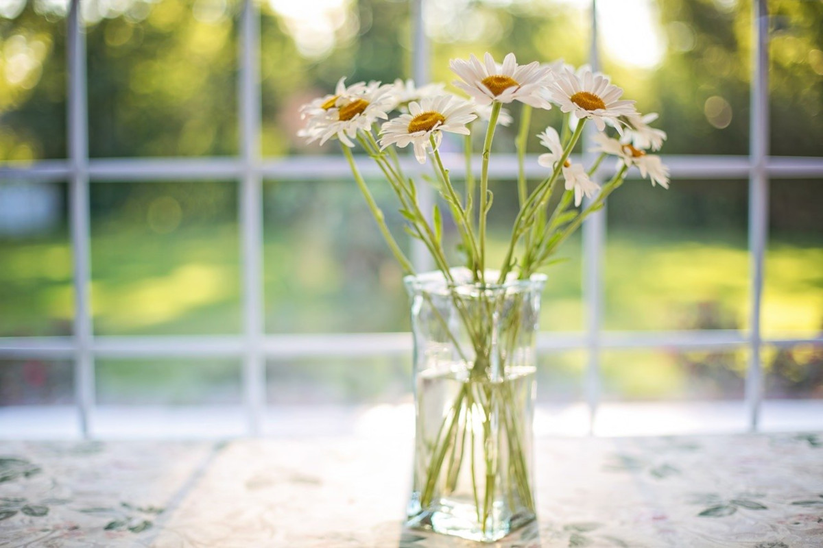 I fiori primaverili più belli per decorare casa