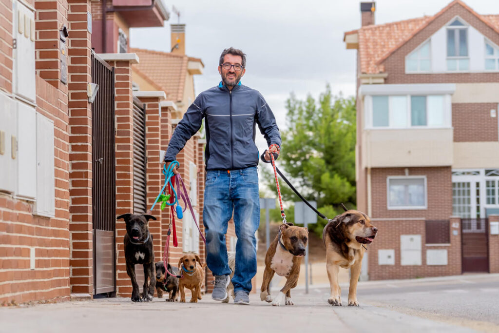 Chi si occupa di cani e gatti durante la vacanza